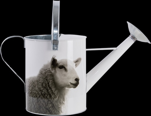 Regadera Metalica Animales de Granja Blanco y Negro